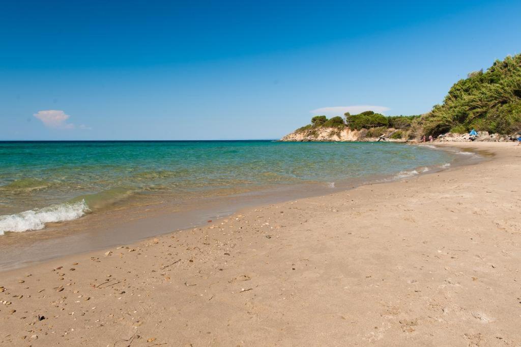 Mare Di Zante "Mare Di Levante" Aparthotel Alykanas  Bagian luar foto