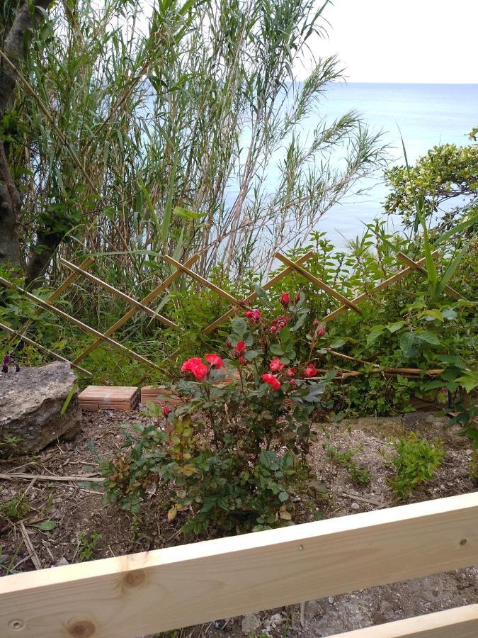 Mare Di Zante "Mare Di Levante" Aparthotel Alykanas  Bagian luar foto